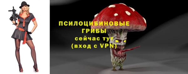 метадон Михайловск