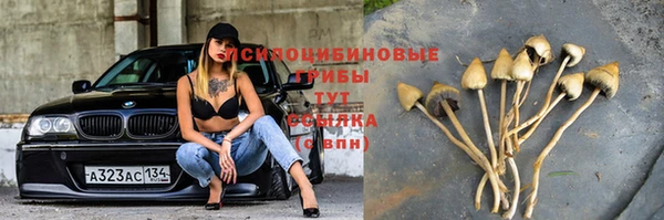 MDMA Premium VHQ Михайлов